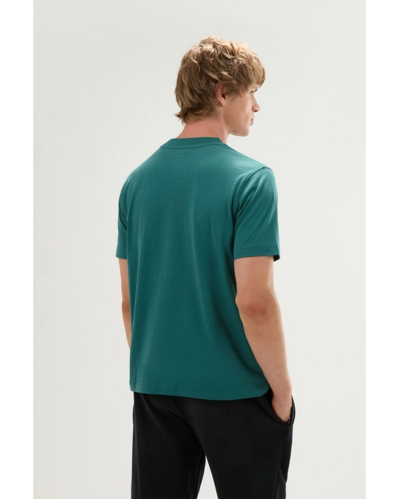 Camiseta Ellesse Acciano T-Shirt hombre verde