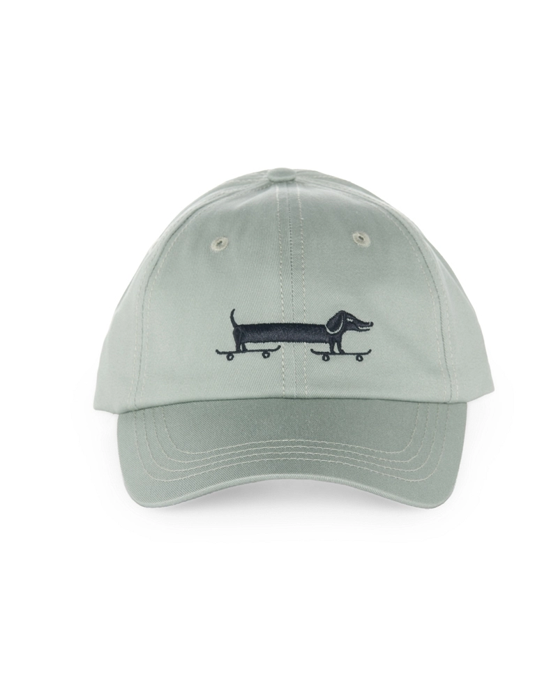 Dachshund cp Dachshund cp