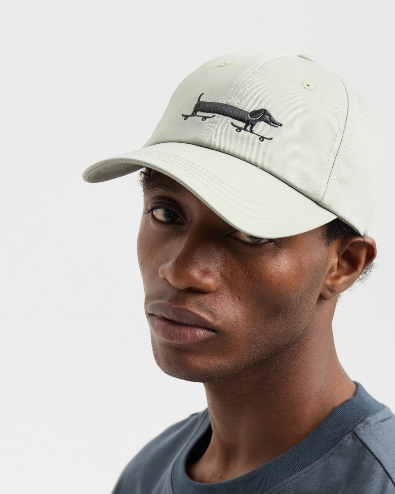 Dachshund cp Dachshund cp