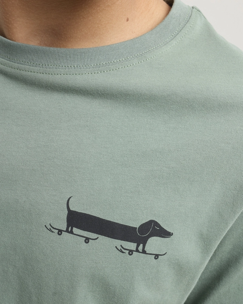 Dachshund ss YTH