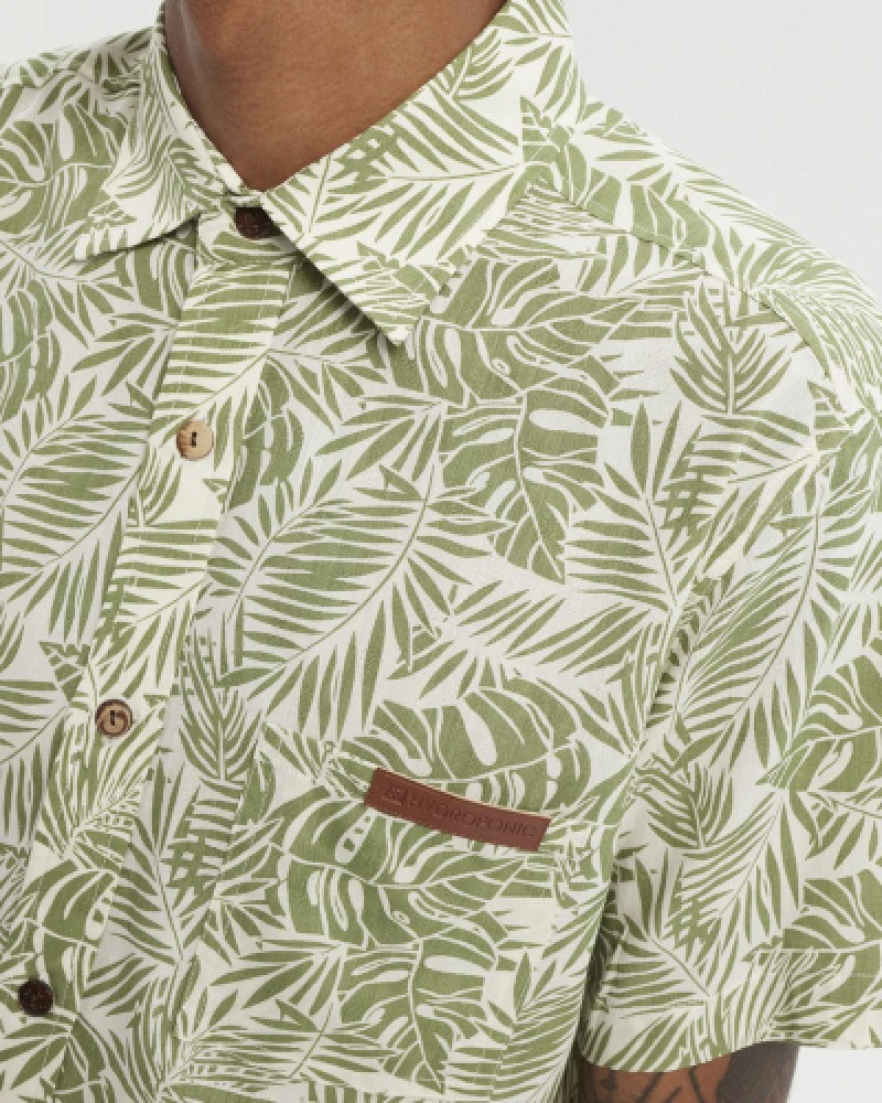 Fern