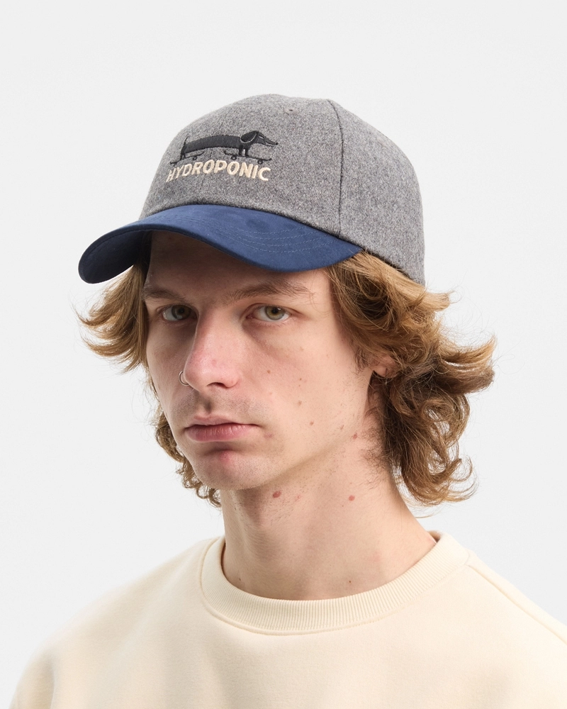 Gorra Hydroponic Skate Dog Gris y Azul Marino