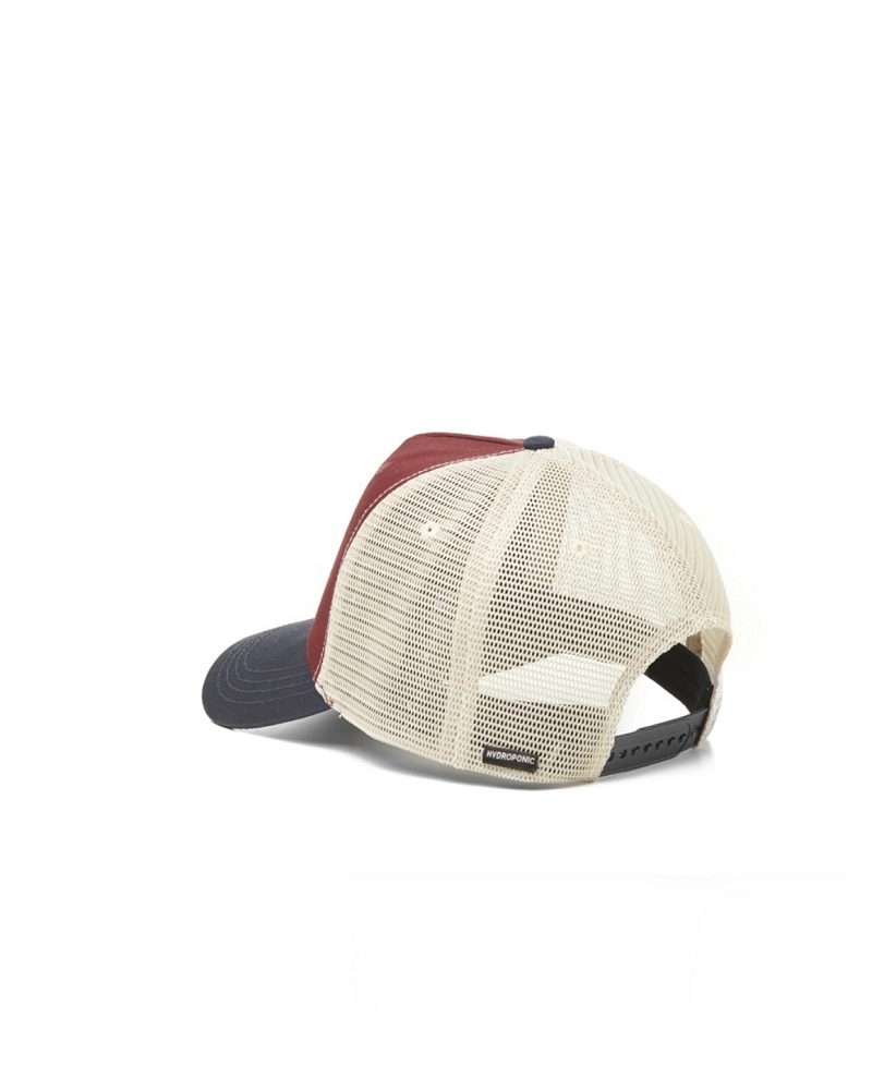 Gorra Trucker Hydroponic x Dragon Ball Z Super Saiyan – Collab Anime Skate | Granate/Navy/Beige Gorra Trucker Hydroponic x Dragon Ball Z Super Saiyan – Collab Anime Skate | Granate/Navy/Beige
