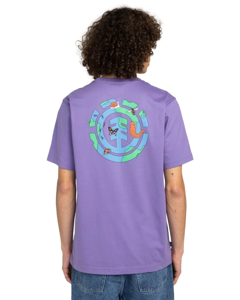 New World Morado