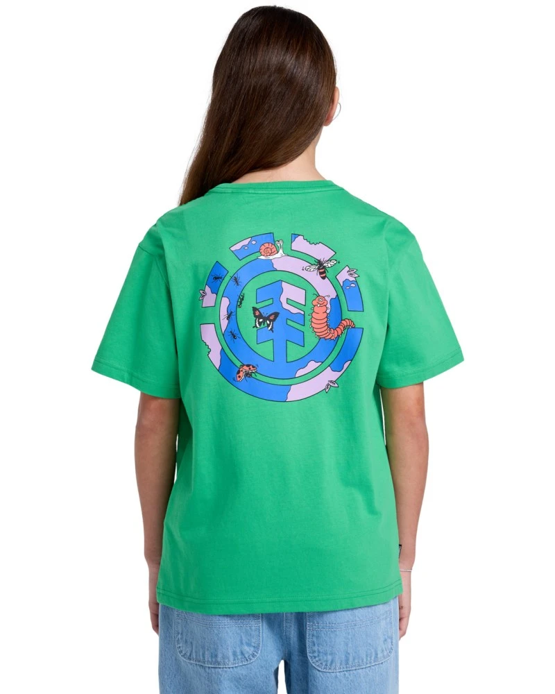 New World Verde