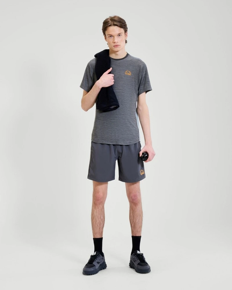 Palestrani grey
