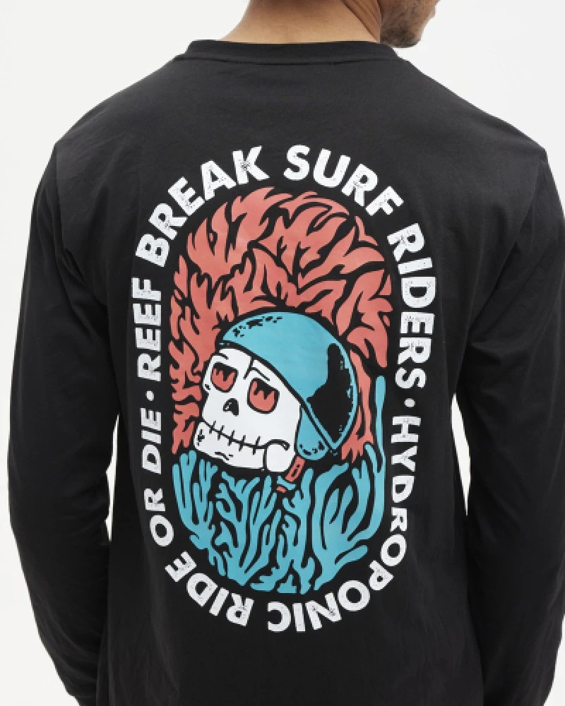 Reef