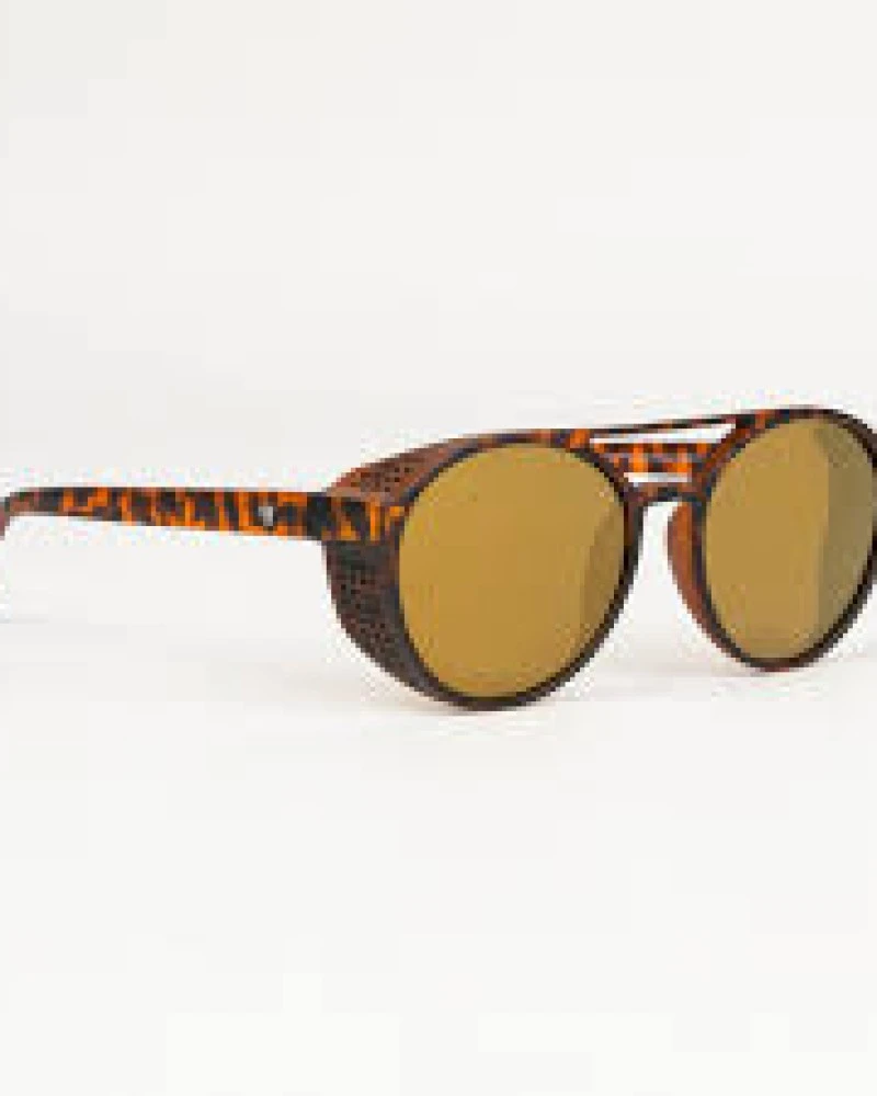 Rickard Turtle Brown