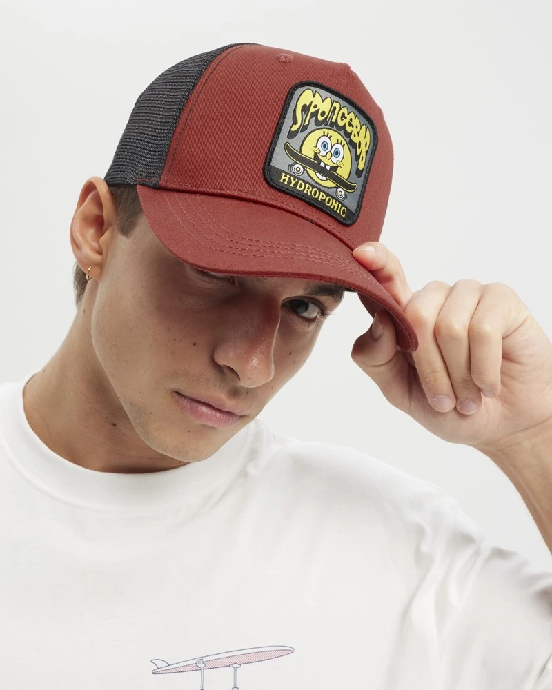 SK8Bob