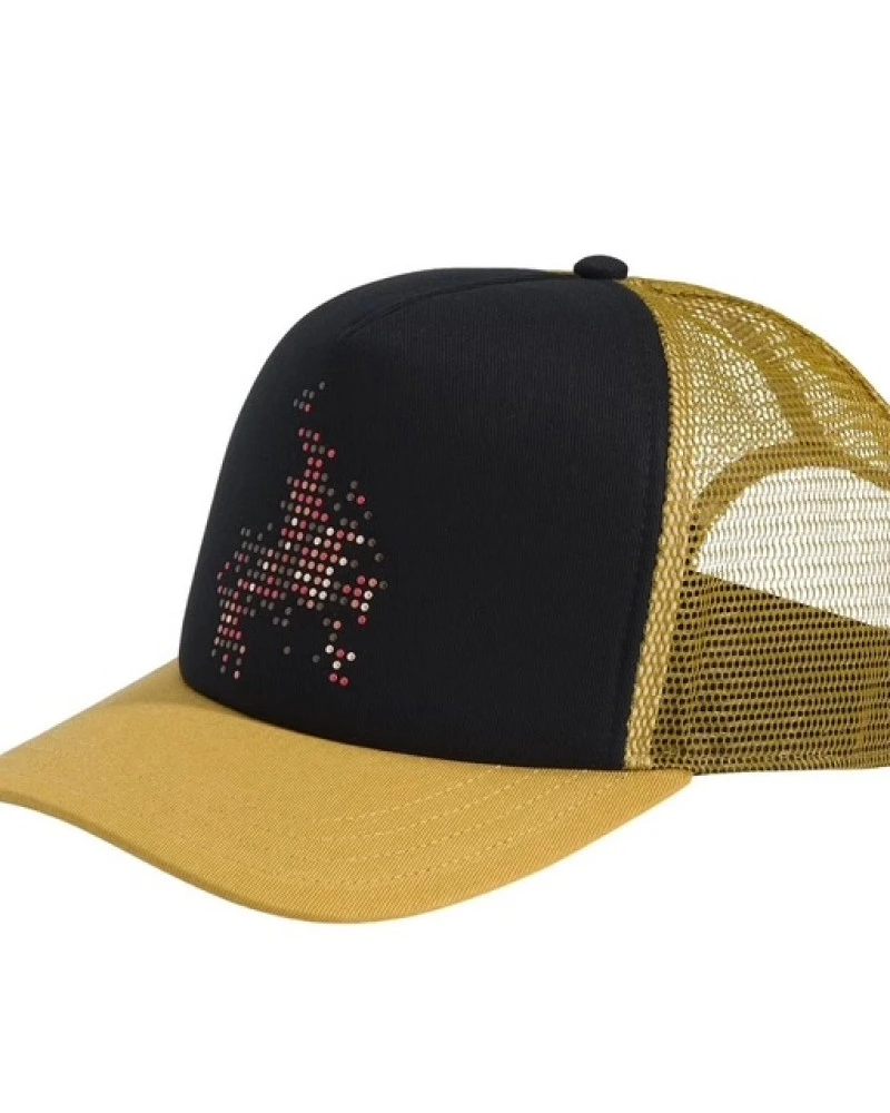 Skate Flame trucker