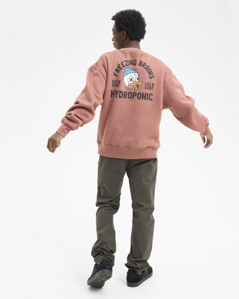 Sudadera Hydroponic Freezing Brains Sudadera Hydroponic Freezing Brains