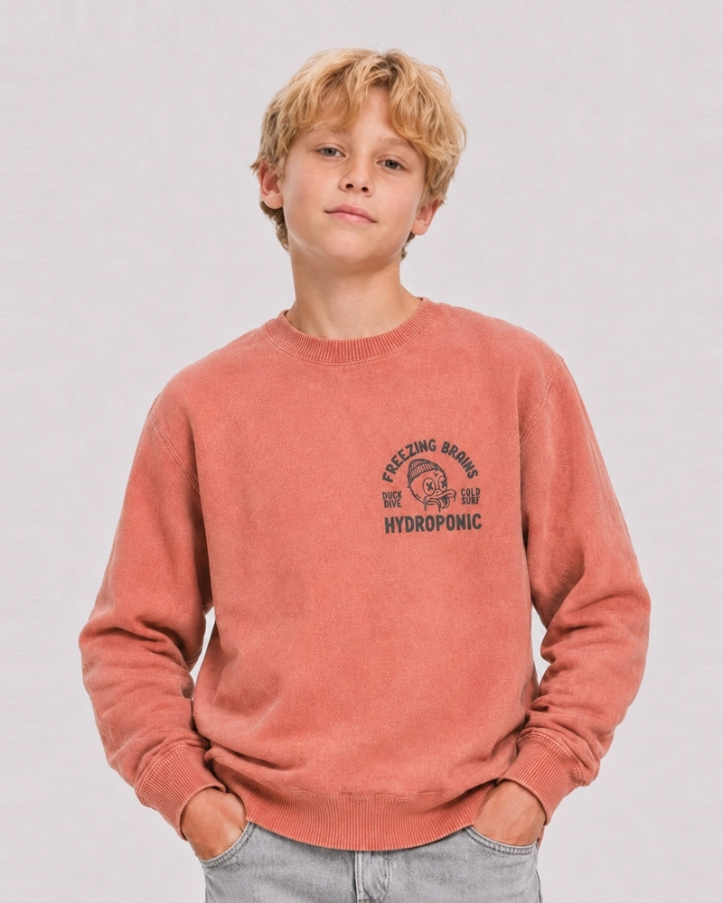 Sudadera Hydroponic Freezing Brains Rosa Empolvado - Niño