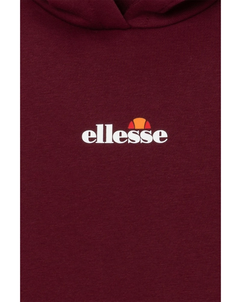 Sudadera infantil con capucha Ellesse Otternere 2 Jnr OH Hoodie burdeos