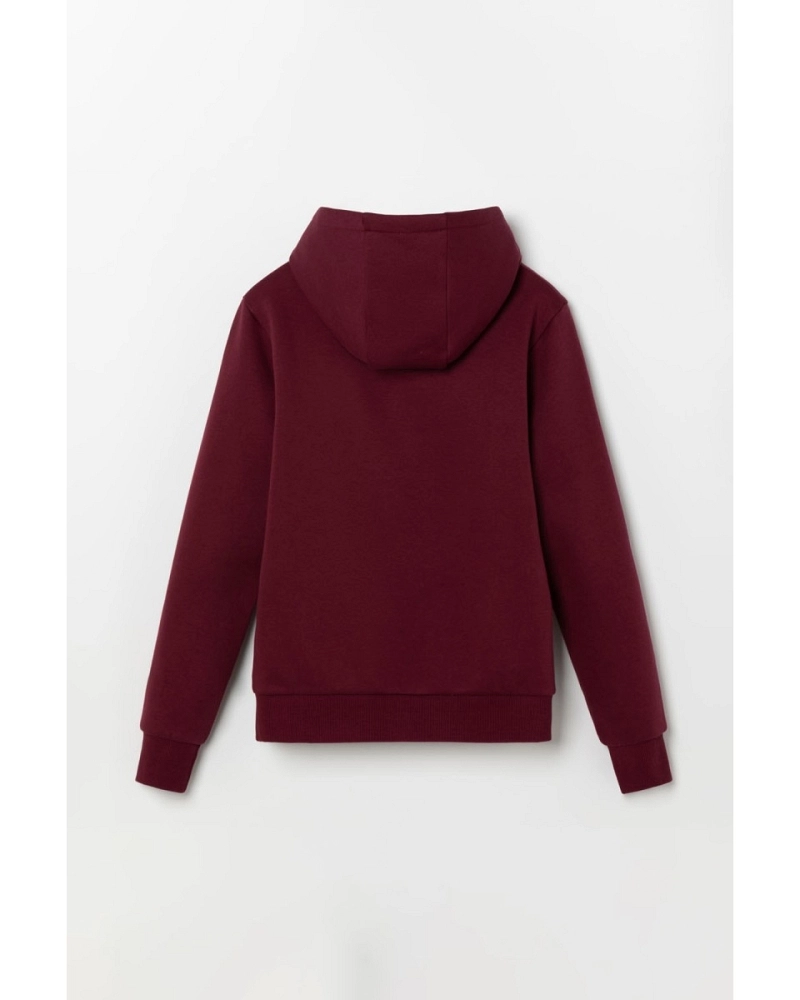 Sudadera infantil con capucha Ellesse Otternere 2 Jnr OH Hoodie burdeos