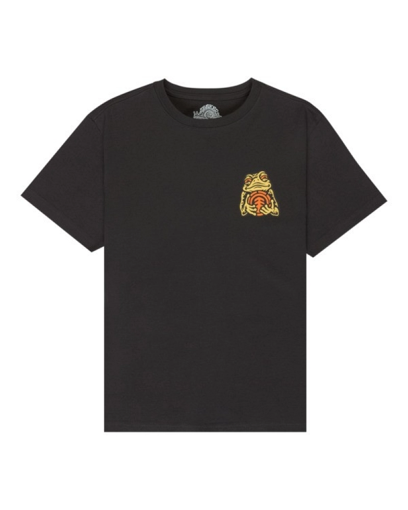 Timber The Frog ss Y